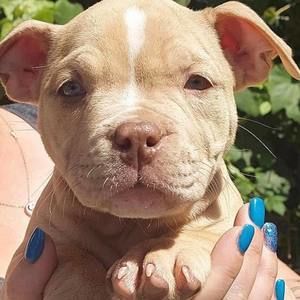 Meet your Posher, Shannon